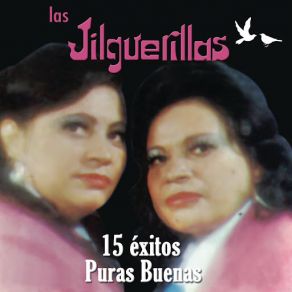 Download track Se Me Fue Mi Amor Las Jilguerillas