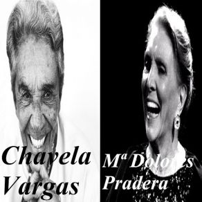 Download track Un Ratito Chavela Vargas