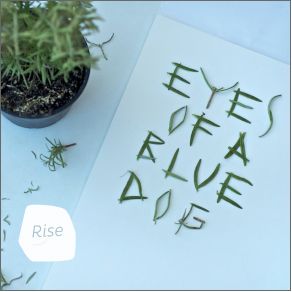 Download track Rise Eyes Of A Blue Dog