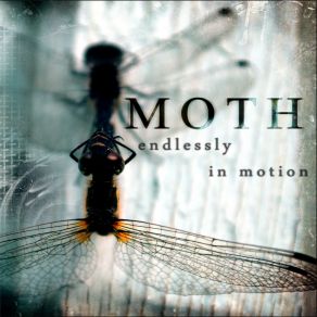 Download track Reverse Moth