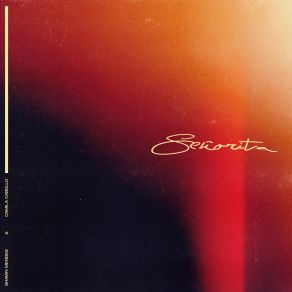 Download track Senorita Shawn Mendes, Camila Cabello