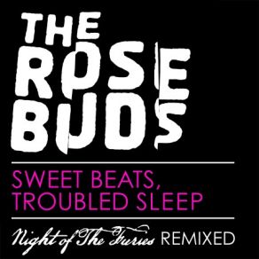 Download track Night Of The Furies - Jimmy The B Remix The Rosebuds