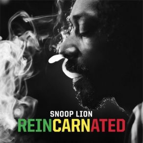 Download track Remedy Busta Rhymes, Chris Brown, Snoop Lion