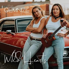 Download track Into The Blue The Gemnize