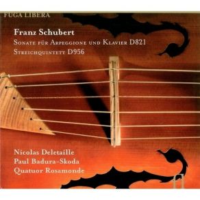 Download track Sonate Fur Arpeggione Und Klavier D821 - II. Adagio Franz Schubert