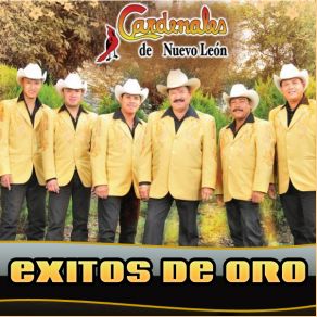 Download track Que Lastima Cardenales De Nuevo León