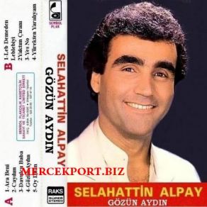 Download track Ara Beni Selahattin Alpay