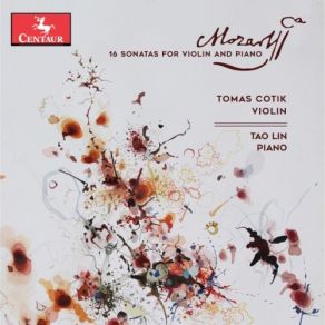 Download track Violin Sonata No. 23 In D Major, K. 306: II. Andantino Cantabile Tomas Cotik, Tao Lin