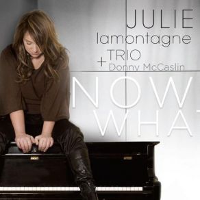 Download track Damn Julie Lamontagne, Donny McCaslin