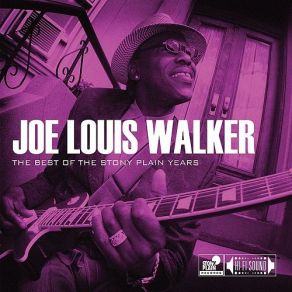 Download track You're Gonna Make Me Cry Joe Louis Walker