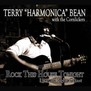 Download track Who's Gonna Be Your Sweet Man The Cornlickers, Terry Harmonica Bean