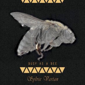 Download track Cri De Ma Vie Sylvie Vartan
