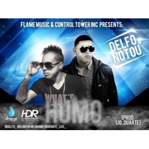 Download track Humo Delfo, Notou