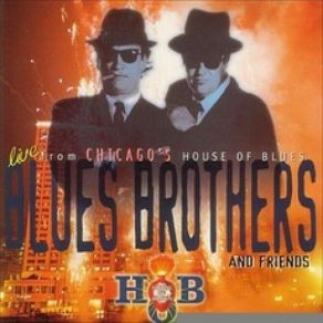 Download track Money (That's What I Want) Blues Brothers And Friends