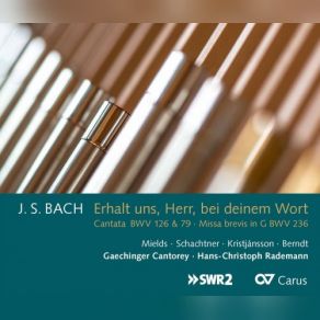 Download track Erhalt Uns, Herr, Bei Deinem Wort, BWV 126 Sende Deine Macht Von Oben