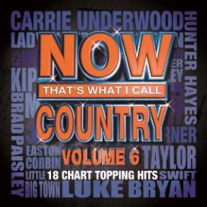 Download track Every Storm (Runs Out Of Rain) Gary Allan