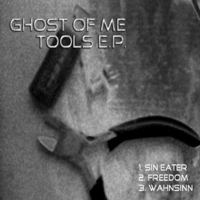 Download track Wahnsinn Ghost Of Me