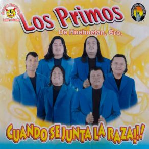 Download track Los 5 Mojados Los Primos