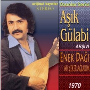 Download track Cok Candan Sevdigim Aziz Dostlarim Aşık Gülabi