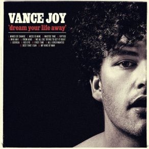 Download track Mess Is Mine Vance Joy