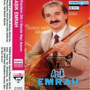 Download track Hüzün Var Aşık Emrah