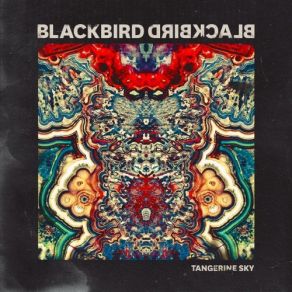 Download track Feel It In My Bones Blackbird Blackbird