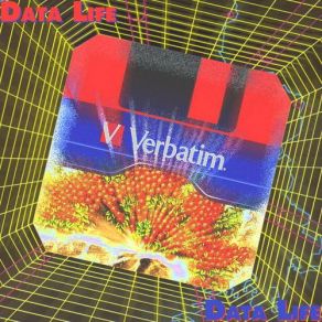 Download track Verbatim DataLife