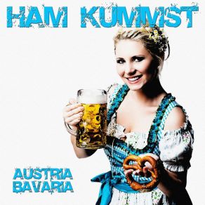 Download track Ham Kummst (Karaoke Instrumental Carpool Edit) Austria Bavaria