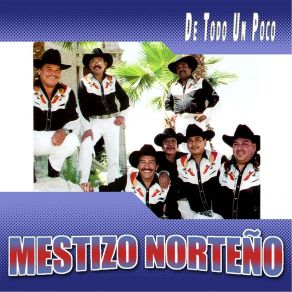 Download track Un Ratito Mestizo Norteno