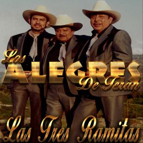 Download track Las Tres Ramitas Los Alegres De Teran
