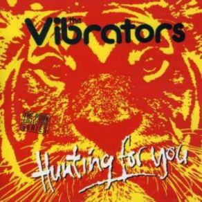 Download track Hey Hey The Vibrators