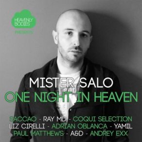 Download track One Night In Heaven, Vol. 5 (Continuous Mix) Mister Salo