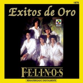 Download track Testigo Los Felinos