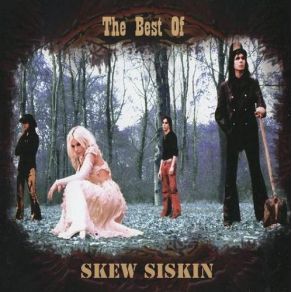 Download track In Another World Skew Siskin