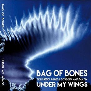 Download track Lost All My Love Bag Of BonesBaatin
