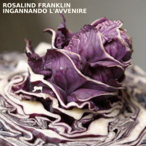 Download track Eva Rosalind Franklin