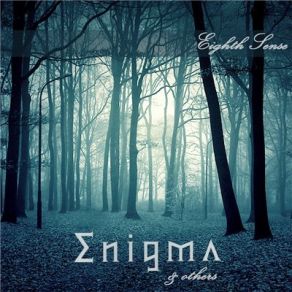 Download track Le Roi Est Mort, Vive Le Roi! Enigma