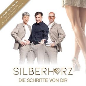 Download track Warum Gerade Ich Silberherz