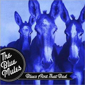 Download track Bad Day Blue Mules