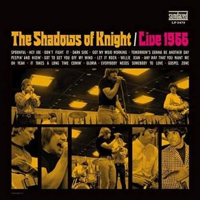 Download track Let It Rock (Live) Shadows Of Knight