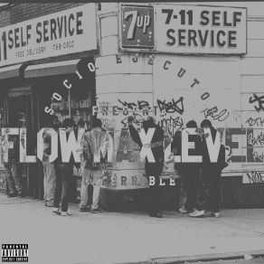 Download track Flow Max Level C. TerribleTchaves