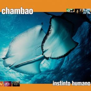 Download track Instinto Humano (Chambao Goes To The Club Dr. Kucho! Weekend Vocal) Chambao