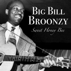 Download track Sad Letter Blues Big Bill Broonzy