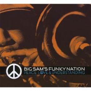 Download track We Got It Big Sam'S Funky Nation