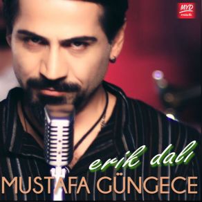 Download track Boşver Mustafa Güngece