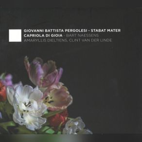 Download track Caldara - Maddalena Ai Piedi Di Cristo: Pompe Inutili; Aria Soprano Pergolesi, Bart Naessens, Capriola Di GioiaAmaryllis Dieltiens