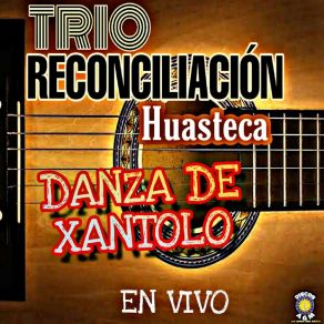 Download track La Ofrenda Trío Reconciliación Huasteca
