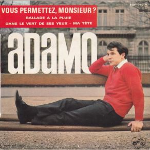 Download track Vous Permettez Monsieur Salvatore Adamo