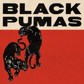 Download track Touch The Sky The Black Pumas