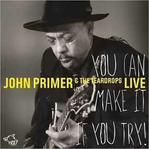 Download track You Can Make It If You Try The Teardrops, John Primer